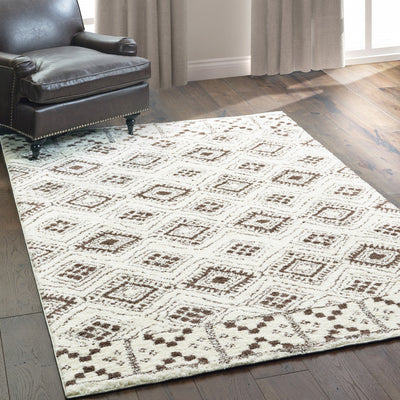 2’ X 3’ Ivory And Brown Geometric Shag Power Loom Stain Resistant Area Rug - Area Rugs