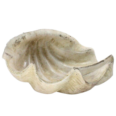 White Sea Shell Sculpture - Sculptures